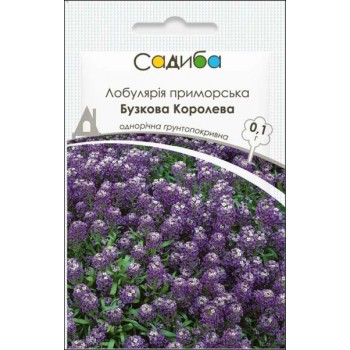 Лобулярия приморская Сиреневая Королева /0,1г/